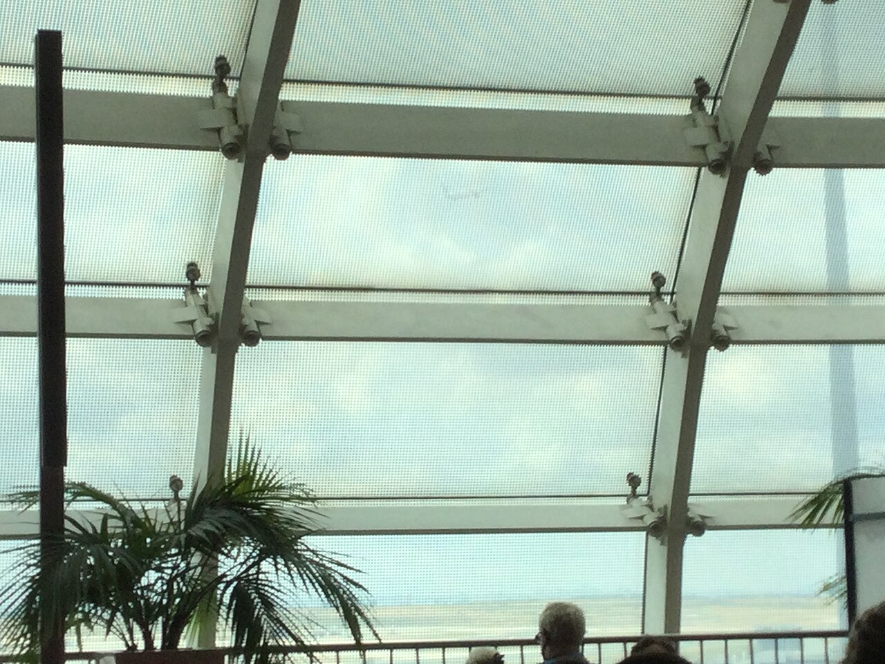 Airplane