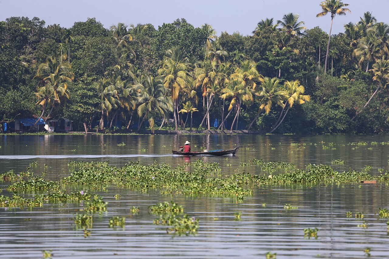 Canoe